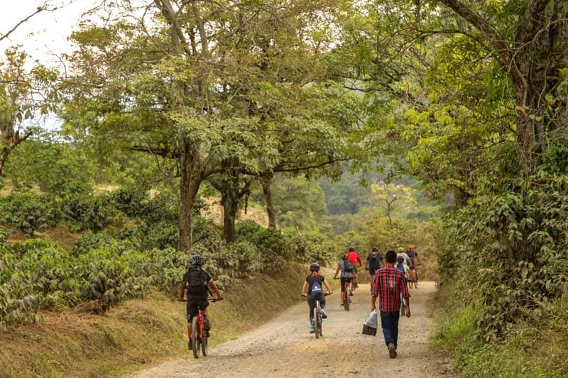 Photo Bike ride, Coffee Region